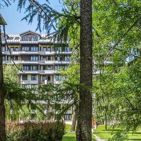 Pierre & Le Chamois Blanc